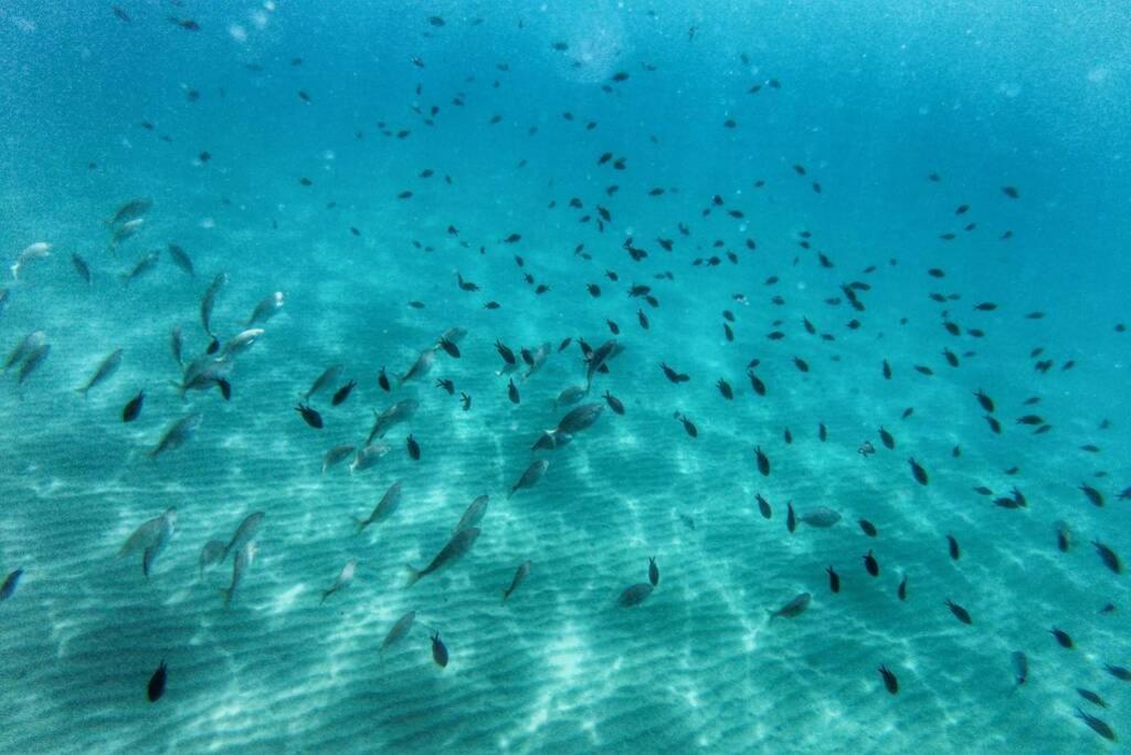 Coqueto Estudio En Puerto Deportivo De Marina Del Este Almuñécar Buitenkant foto